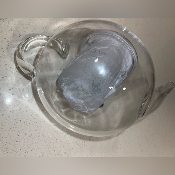 Teabloom Stovetop & Microwave Safe Glass Teapot 36 Oz with Removable Tea Infuser - Picture 4 of 8